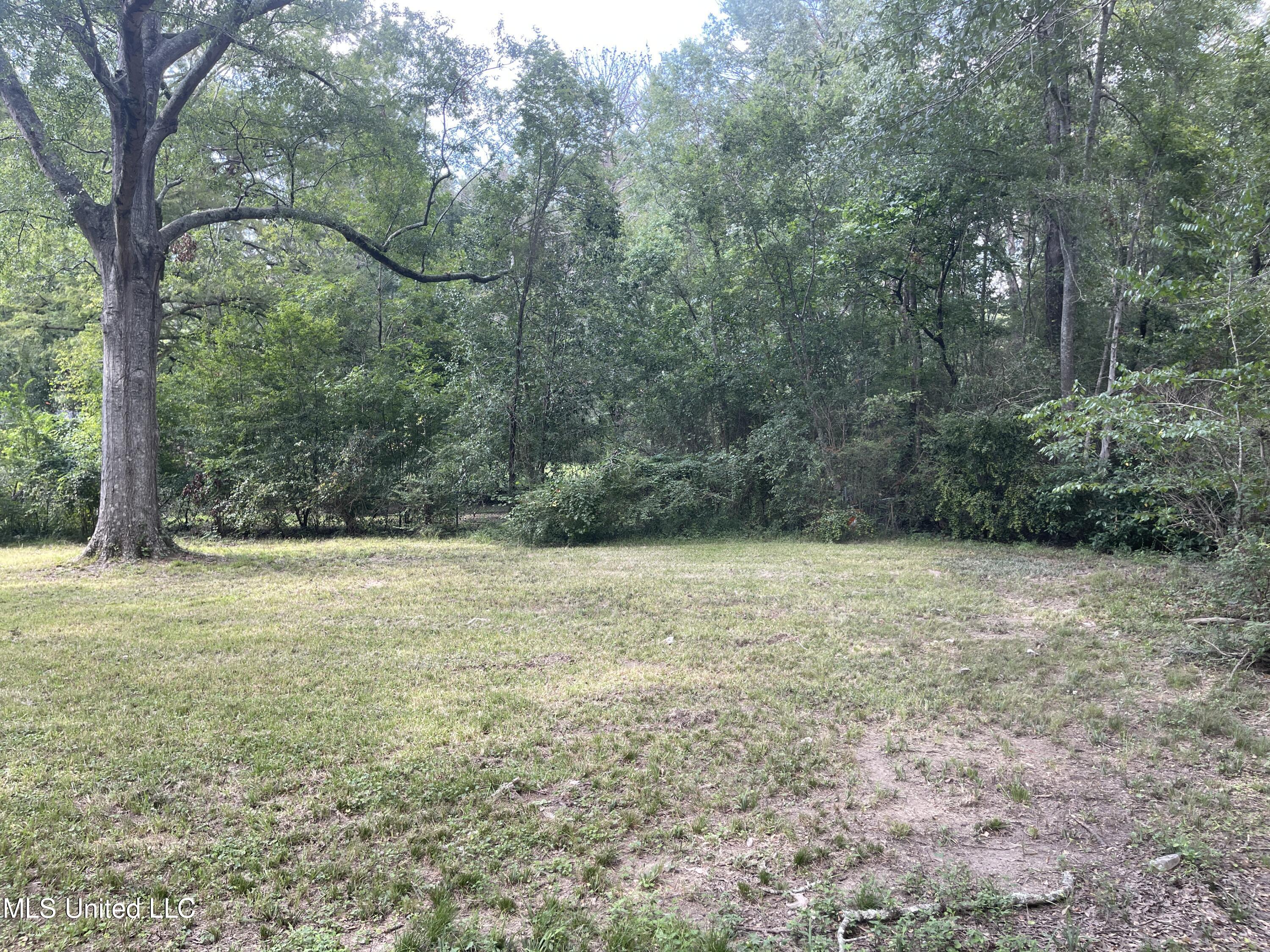 220 Wildwood Terrace Jackson, MS 39212 - Photo 13 of 14 IMG_3730