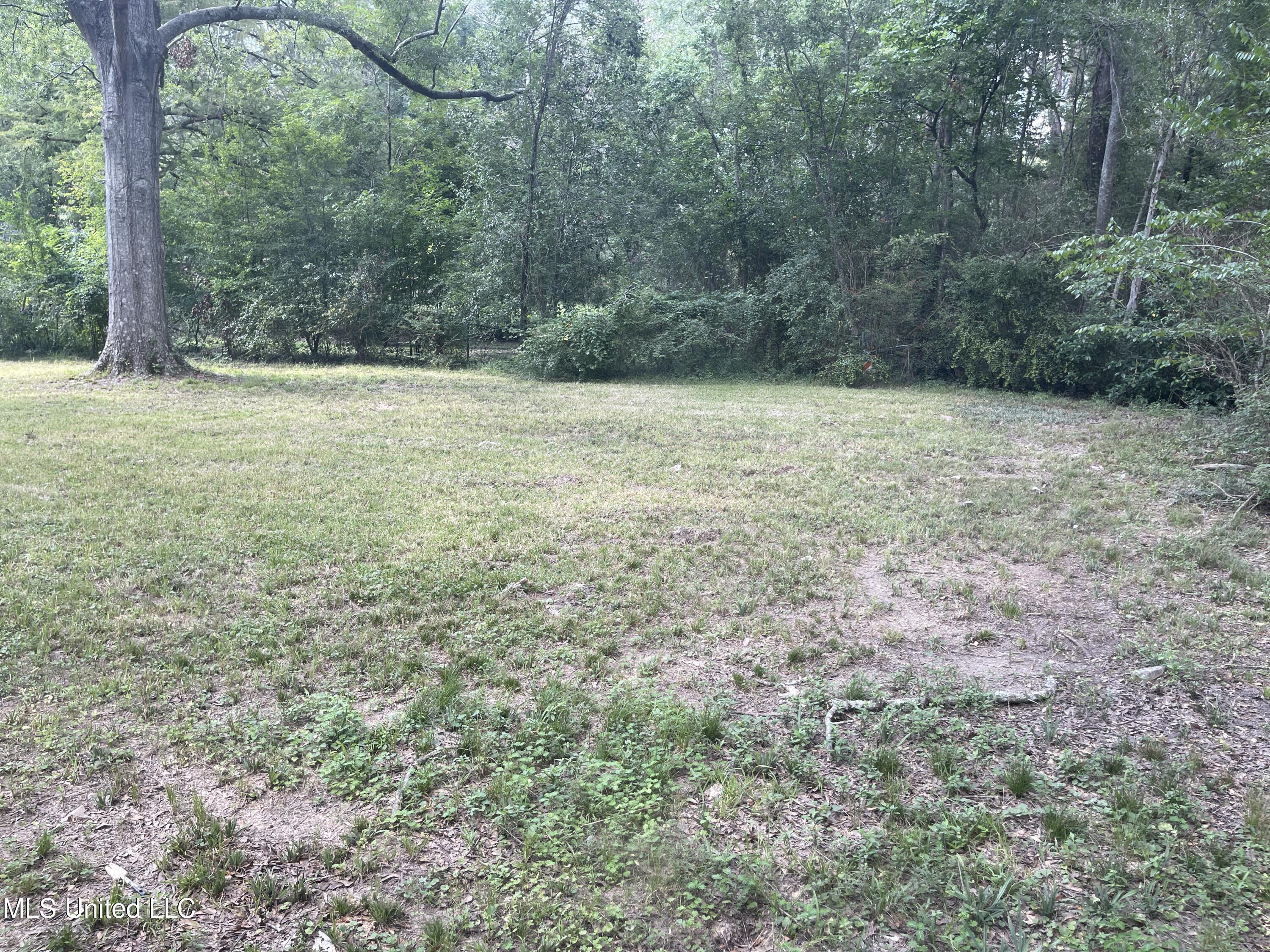 220 Wildwood Terrace Jackson, MS 39212 - Photo 14 of 14 IMG_3731