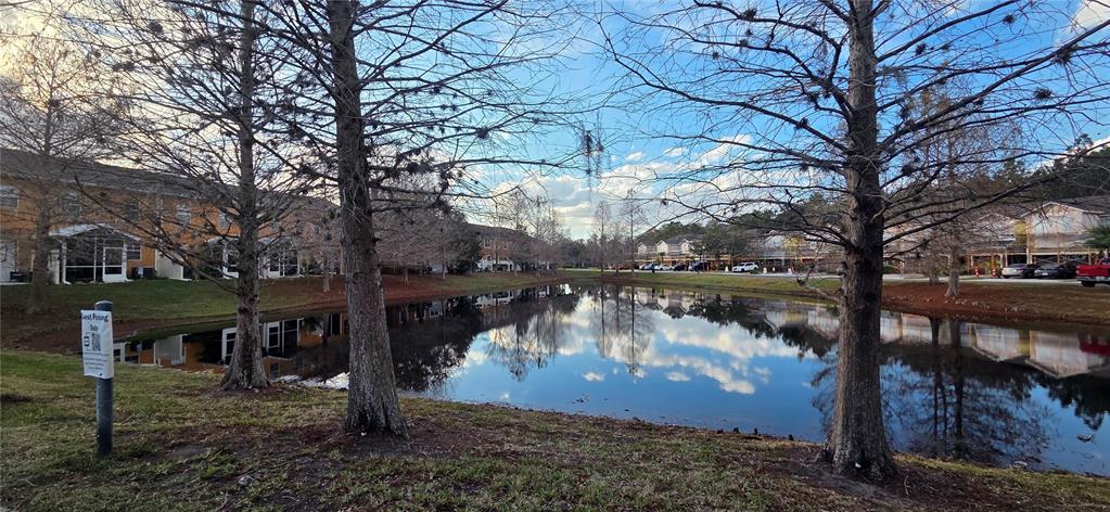 9478 Silver Buttonwood Street Orlando, FL 32832 - Photo 32 of 33