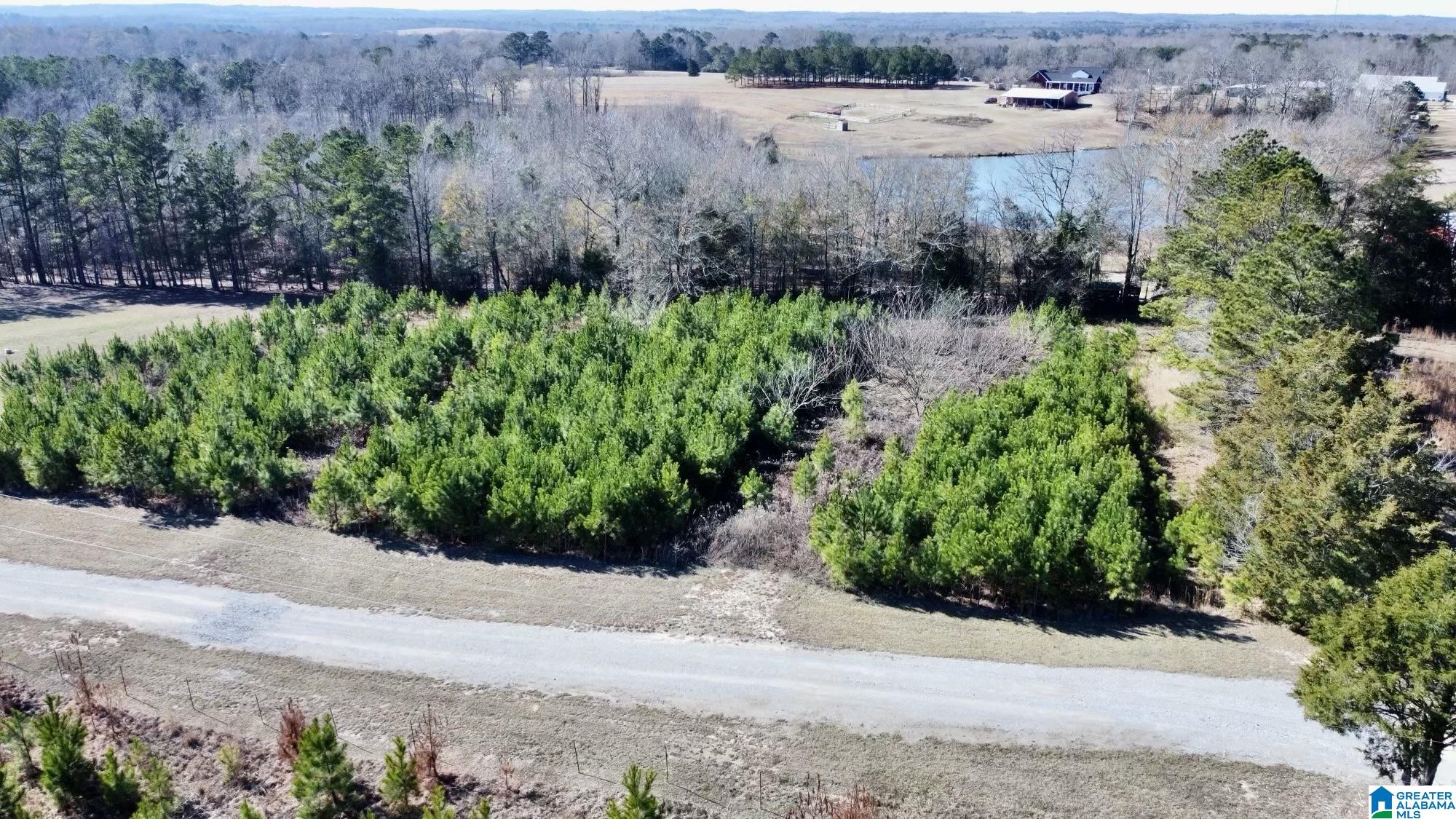 40 County Road 494 Verbena, AL 36091 - Photo 2 of 16