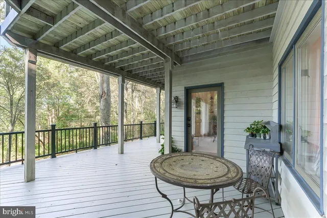 a backyard of a house with plants and large trees