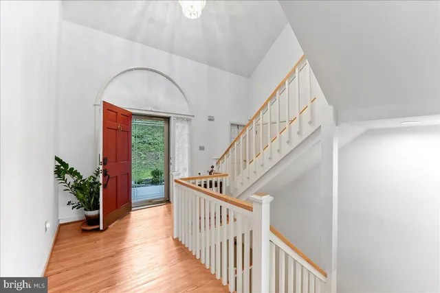 a view of staircase with wooden floor and a potted plant