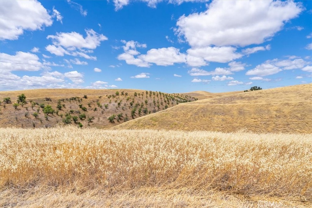 76846 Ranchita Canyon Road San Miguel, CA 93451 - Photo 36 of 51 Hilltop view