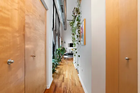 wooden floor with a potted plant