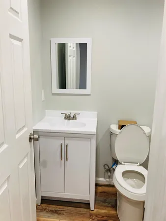 a bathroom with a sink a toilet and a mirror