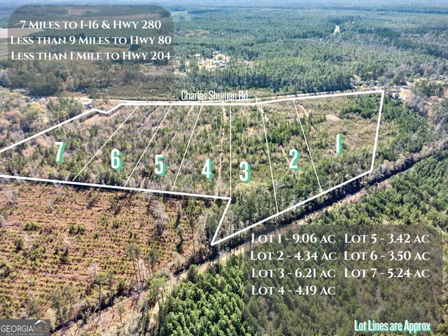 $135,000 | Lot 2 Charles Shuman Road, Pembroke, GA 31321