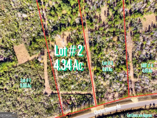$135,000 | Lot 2 Charles Shuman Road, Pembroke, GA 31321