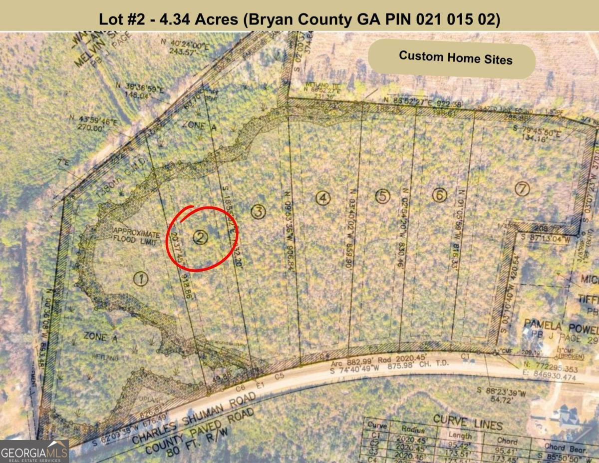 Lot 2 Charles Shuman Road Pembroke, GA 31321 - Photo 5 of 6