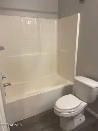 a bathroom with a toilet and a bathtub