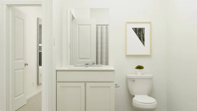 a bathroom with a sink a toilet and mirror