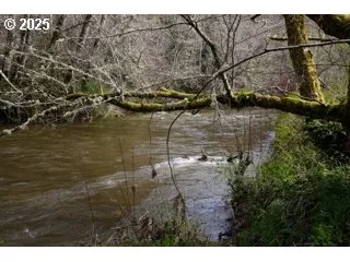 a view of an outdoor space and a yard