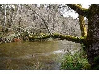 a view of a green field with mountains in the background