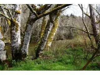 a view of a field of grass and trees