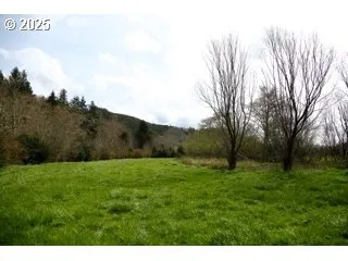 a big yard with lots of green space