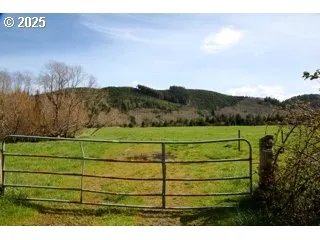 a view of a big yard with a tree