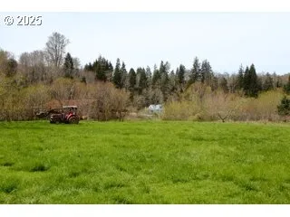 a view of grassy field with trees in the background