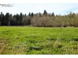 a view of a fire pit in a yard