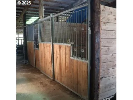 a view of a door and brick wall
