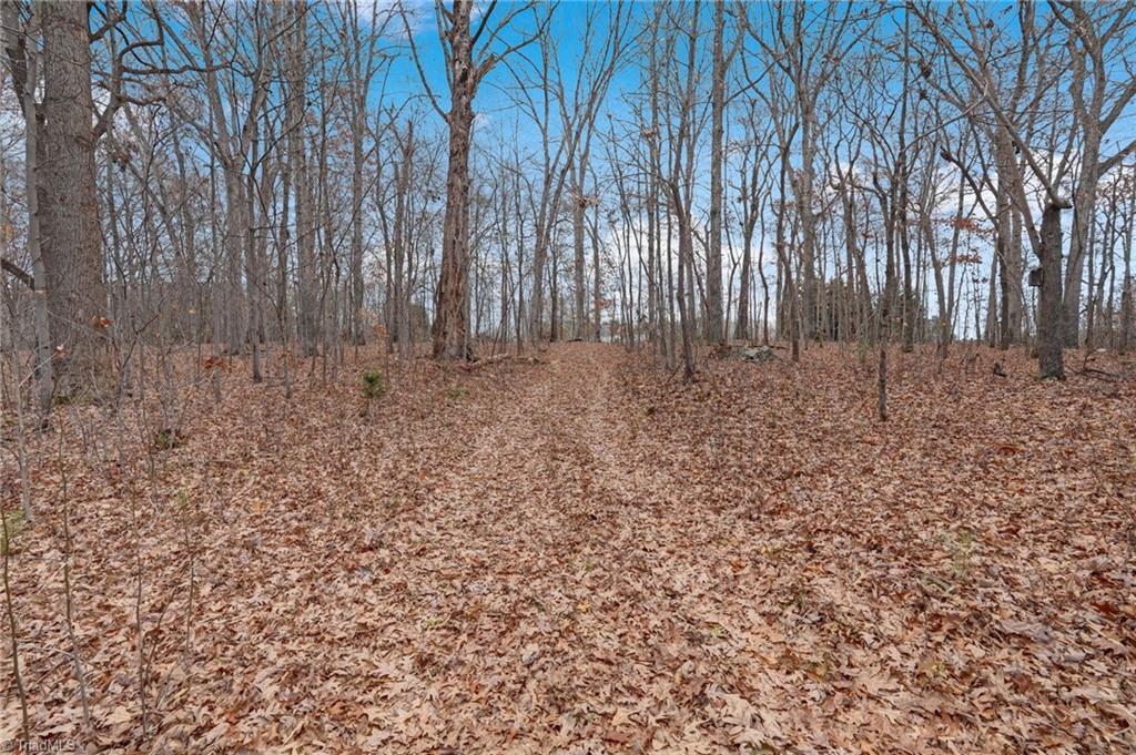 Lot 2 Joe Cobb Road Ruffin, NC 27326 - Photo 16 of 29