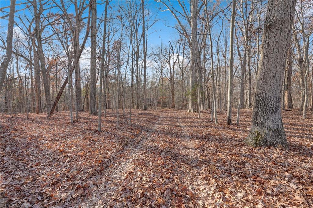 Lot 2 Joe Cobb Road Ruffin, NC 27326 - Photo 17 of 29