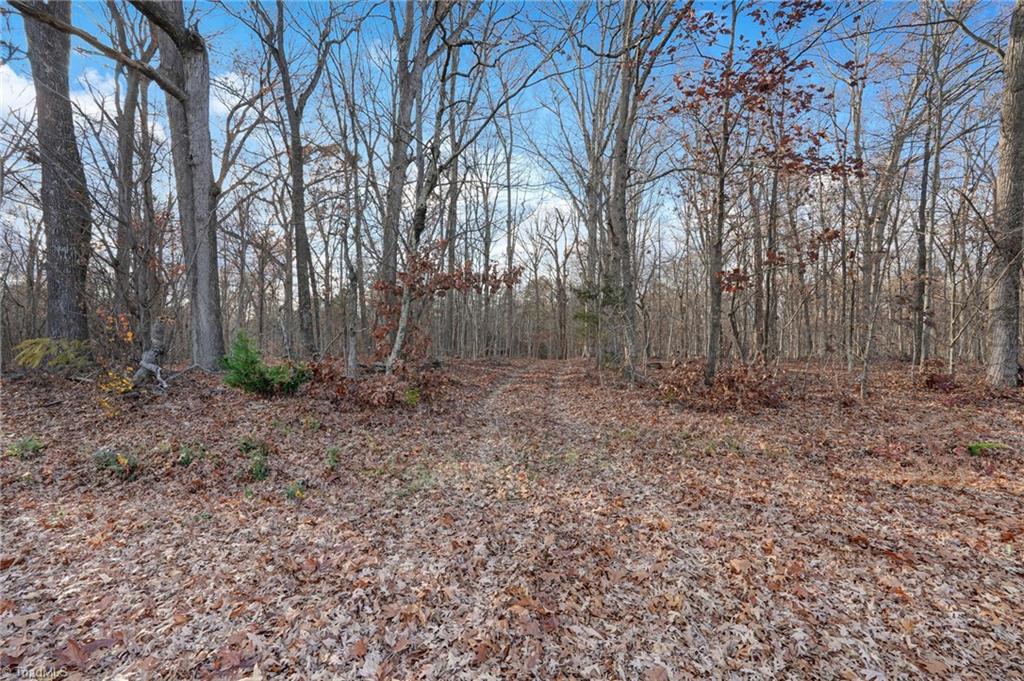 Lot 2 Joe Cobb Road Ruffin, NC 27326 - Photo 18 of 29