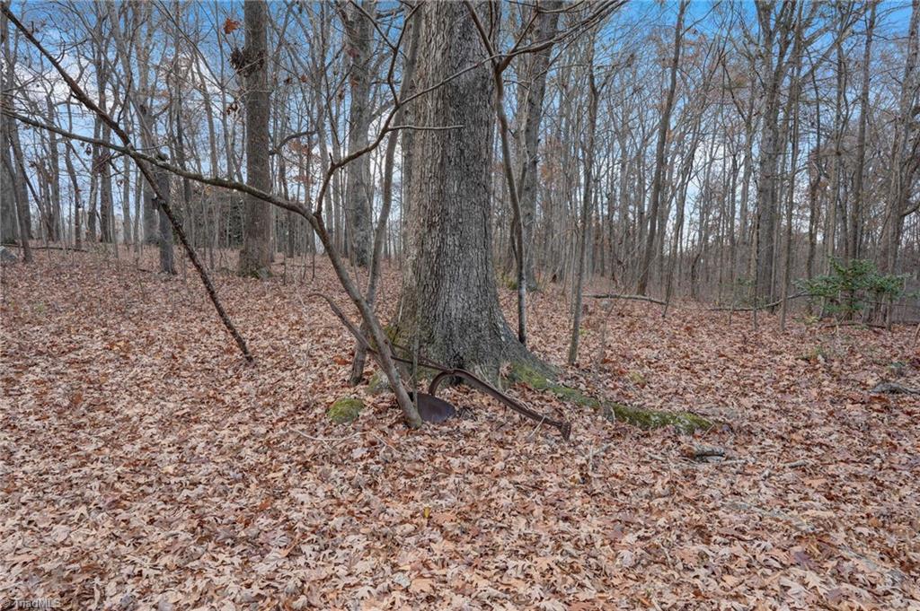 Lot 2 Joe Cobb Road Ruffin, NC 27326 - Photo 19 of 29