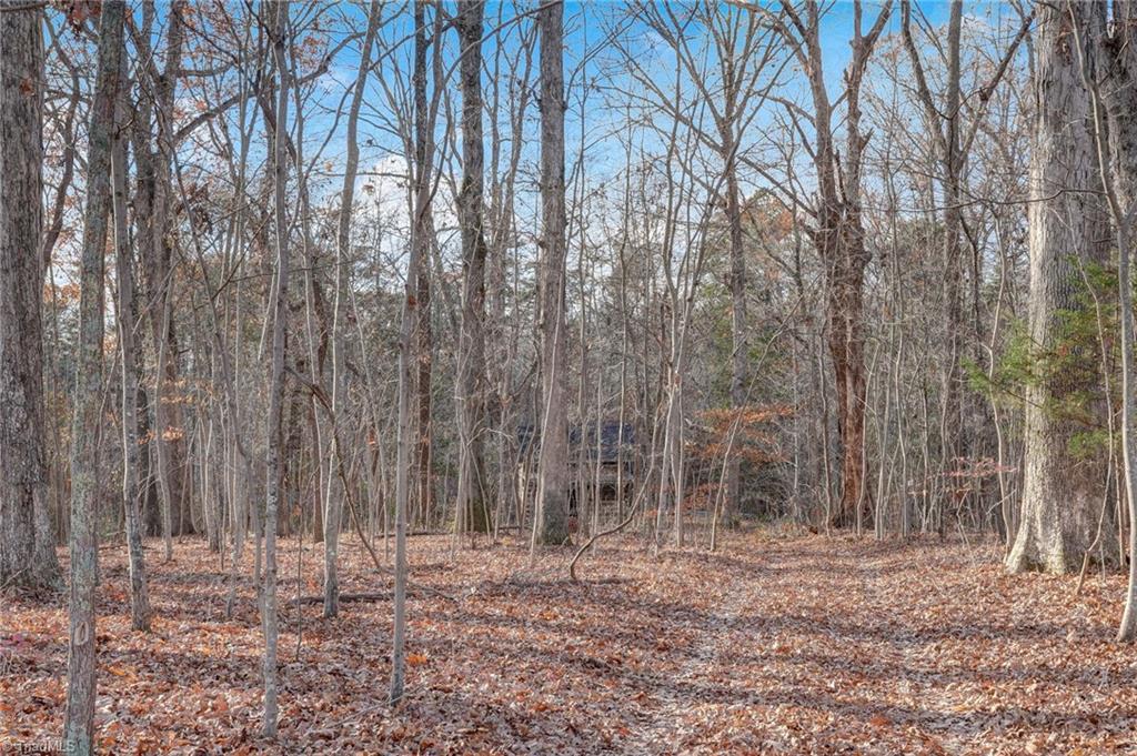 Lot 2 Joe Cobb Road Ruffin, NC 27326 - Photo 20 of 29