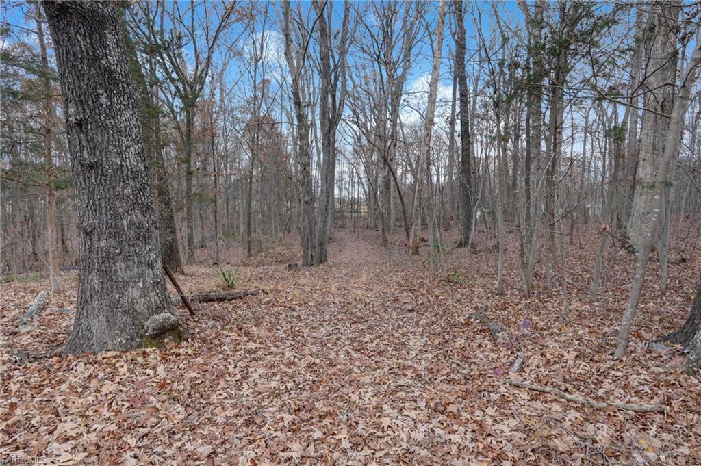 Lot 2 Joe Cobb Road Ruffin, NC 27326 - Photo 21 of 29