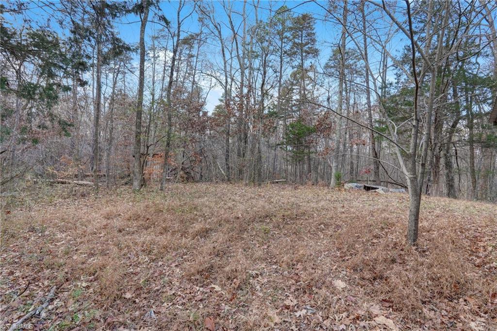 Lot 2 Joe Cobb Road Ruffin, NC 27326 - Photo 22 of 29