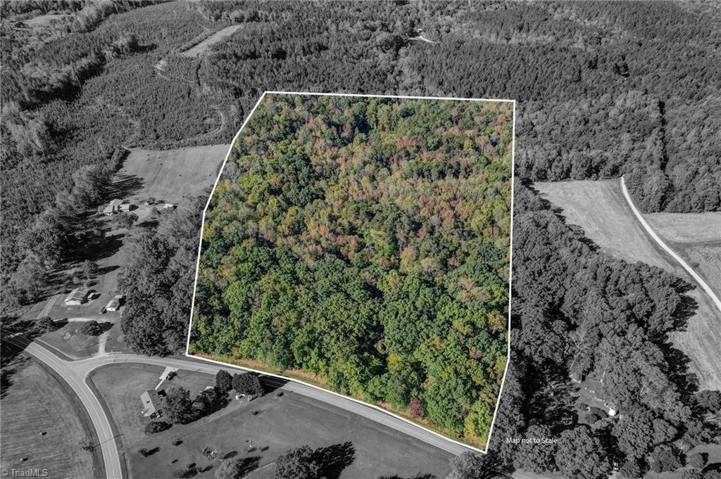 Lot 2 Joe Cobb Road Ruffin, NC 27326 - Photo 23 of 29