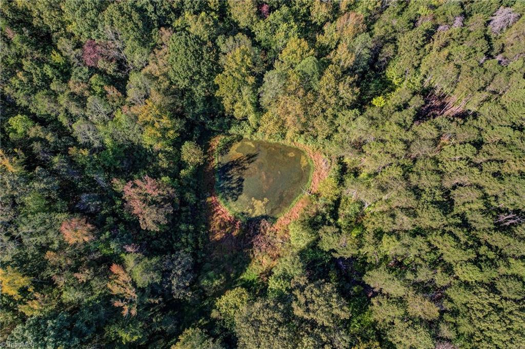 Lot 2 Joe Cobb Road Ruffin, NC 27326 - Photo 26 of 29