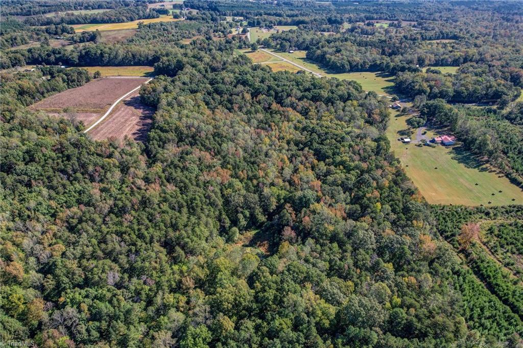 Lot 2 Joe Cobb Road Ruffin, NC 27326 - Photo 27 of 29