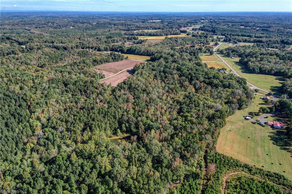 Lot 2 Joe Cobb Road Ruffin, NC 27326 - Photo 28 of 29