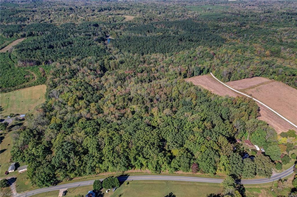 Lot 2 Joe Cobb Road Ruffin, NC 27326 - Photo 29 of 29