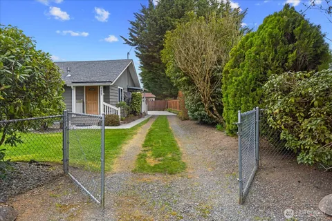 a green field with lots of bushes