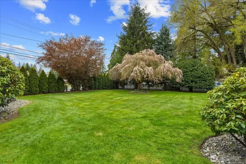 a view of a field with large trees