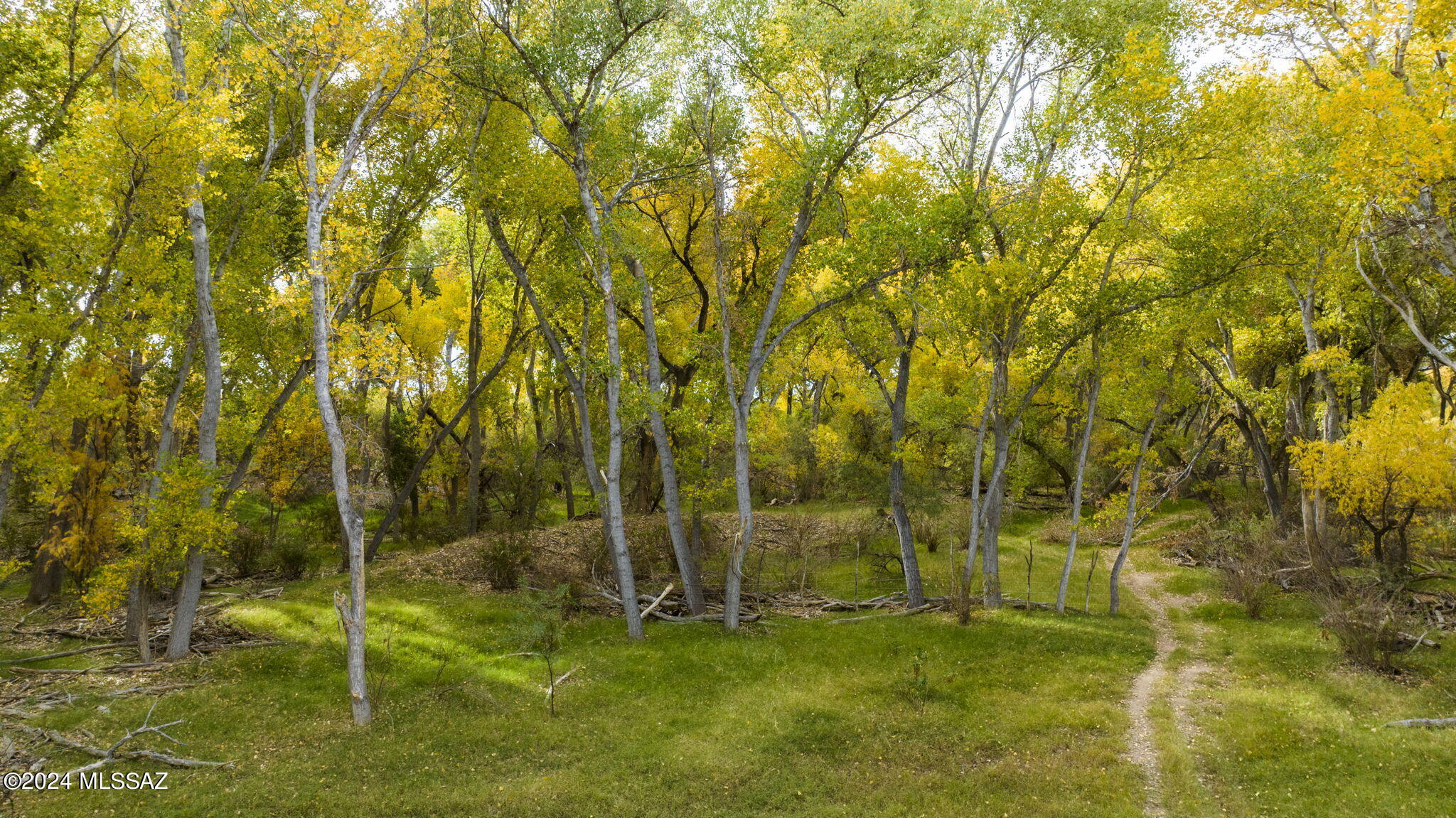 45 Clark Crossing Road Tumacacori, AZ 85640 - Photo 43 of 50 a view of an outdoor space and trees