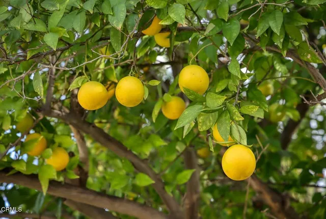 $5,300 | 7046 Murietta Avenue, Van Nuys, CA 91405