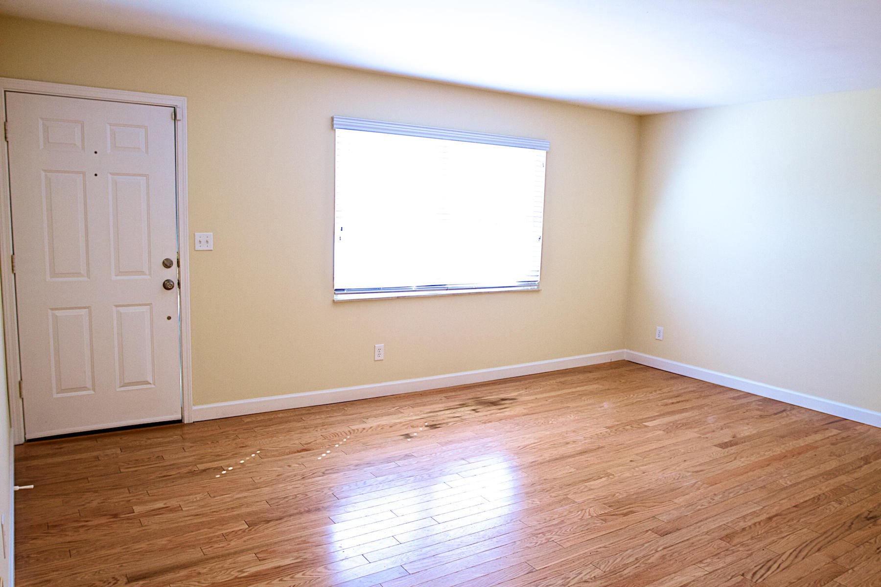 3331 Dewine Road Knoxville, TN 37921 - Photo 6 of 26 Gallery Image 6