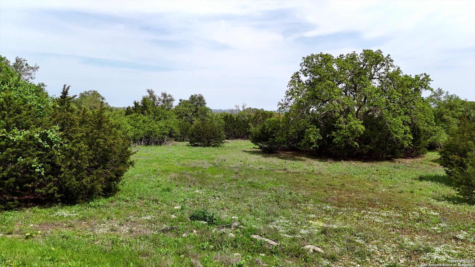 119 Riley Wood Blanco, TX 78606 - Photo 12 of 28
