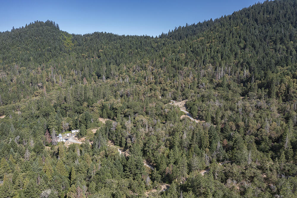 780 Hitching Post Road Grants Pass, OR 97526 - Photo 11 of 21 a view of a forest with a mountain in the background
