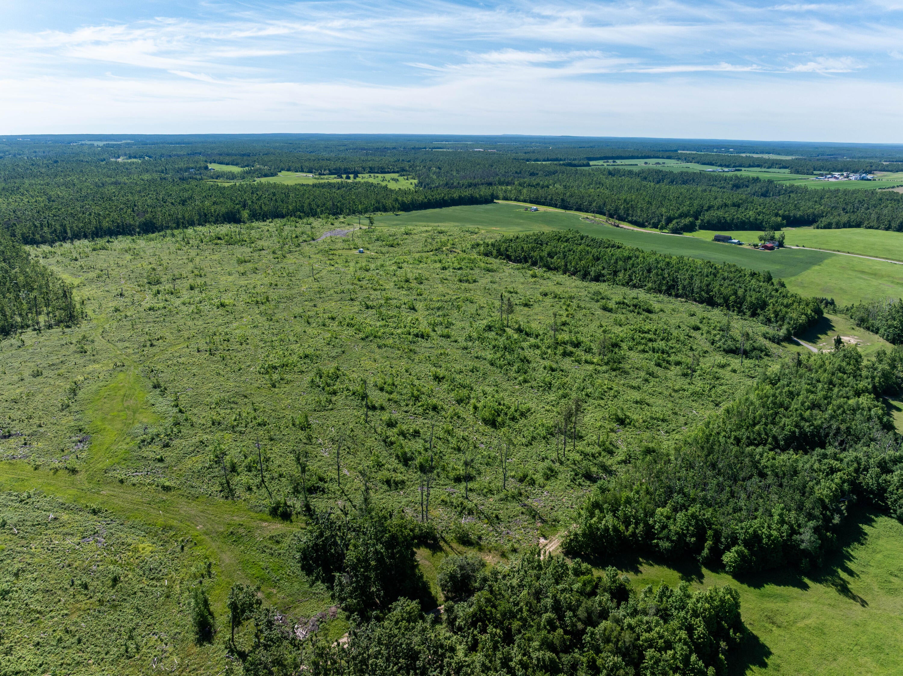 40-ac Waters Road Johannesburg, MI 49751 - Photo 11 of 11 Gallery Image 11