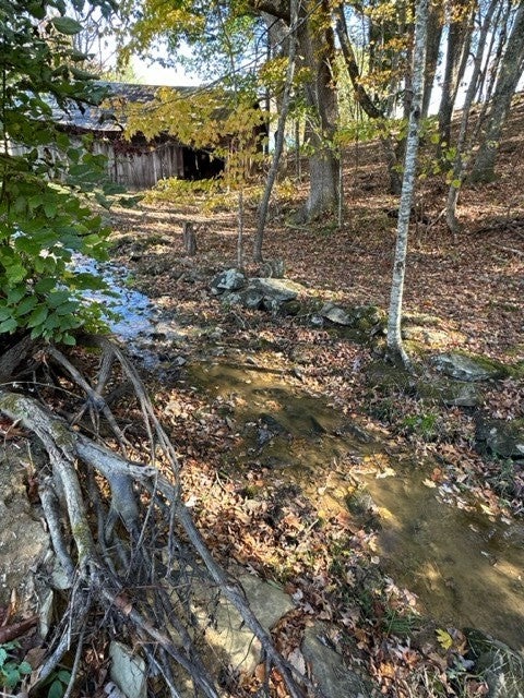 28 Flat Ridge Road Troutdale, VA 24378 - Photo 48 of 58 Gallery Image 48