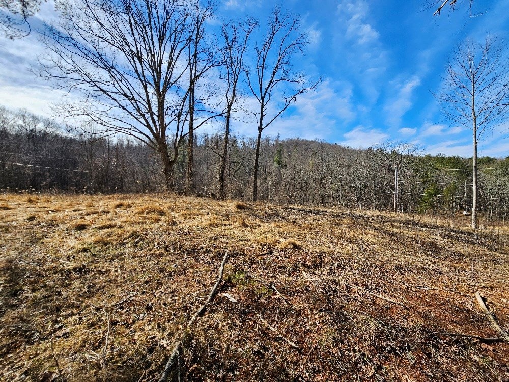 236 Old Quaker Road Galax, VA 24333 - Photo 3 of 10 Gallery Image 3