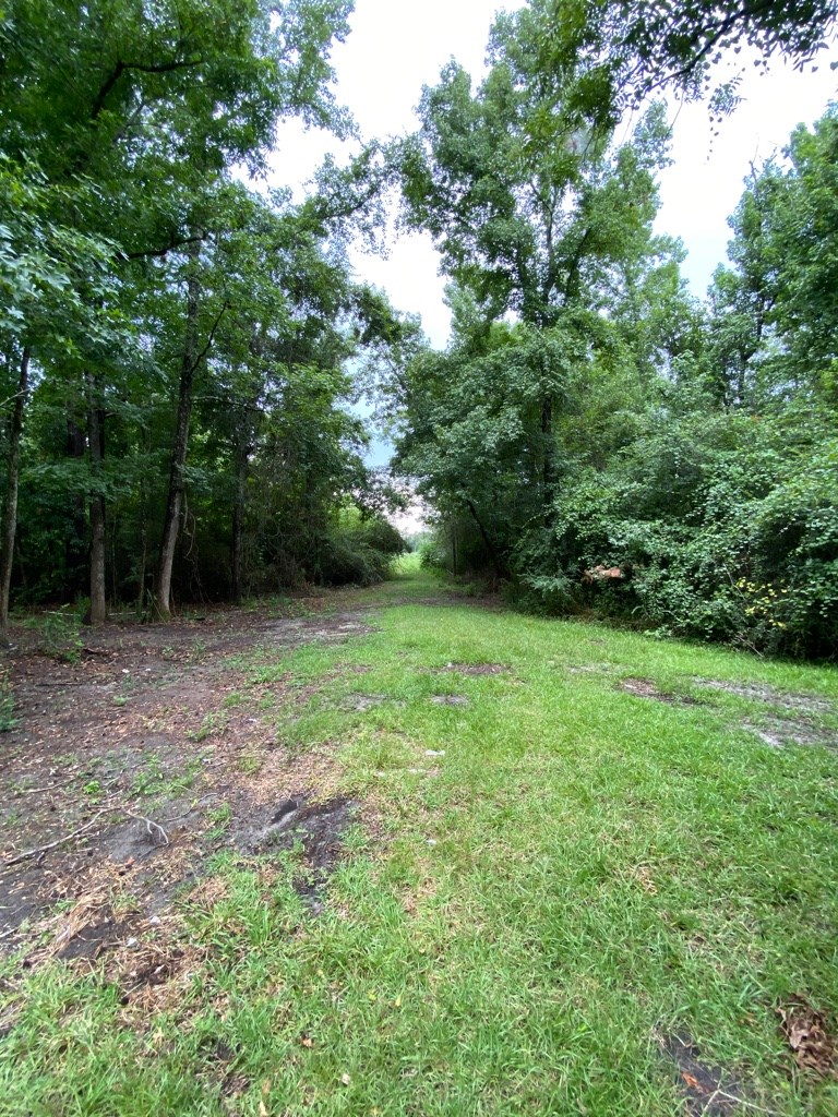 2242 Coot Adams Road Ashford, AL 36312 - Photo 28 of 39