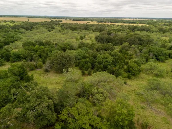 a view of a field of grass and trees