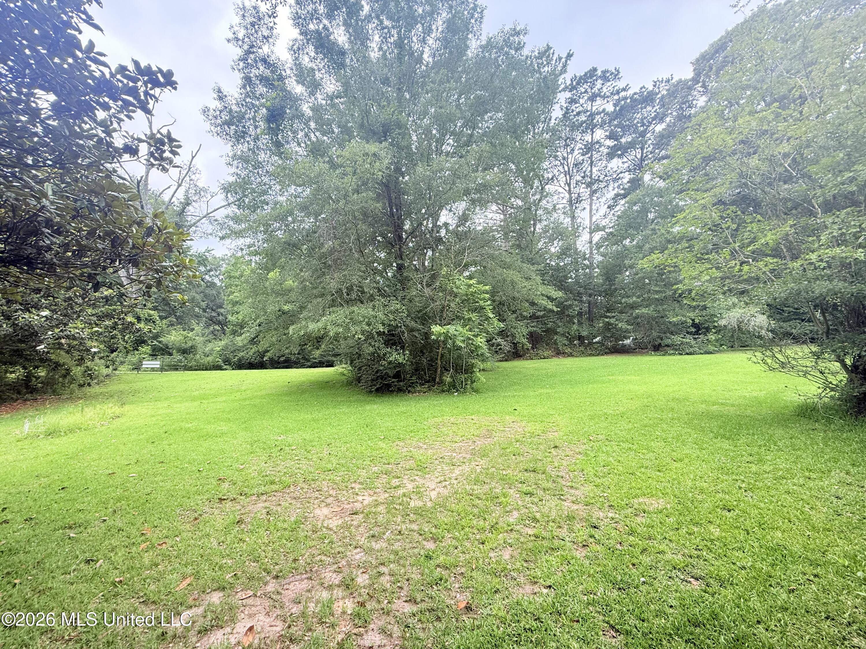 1015 Highway 51 Summit, MS 39666 - Photo 24 of 32 IMG_6651