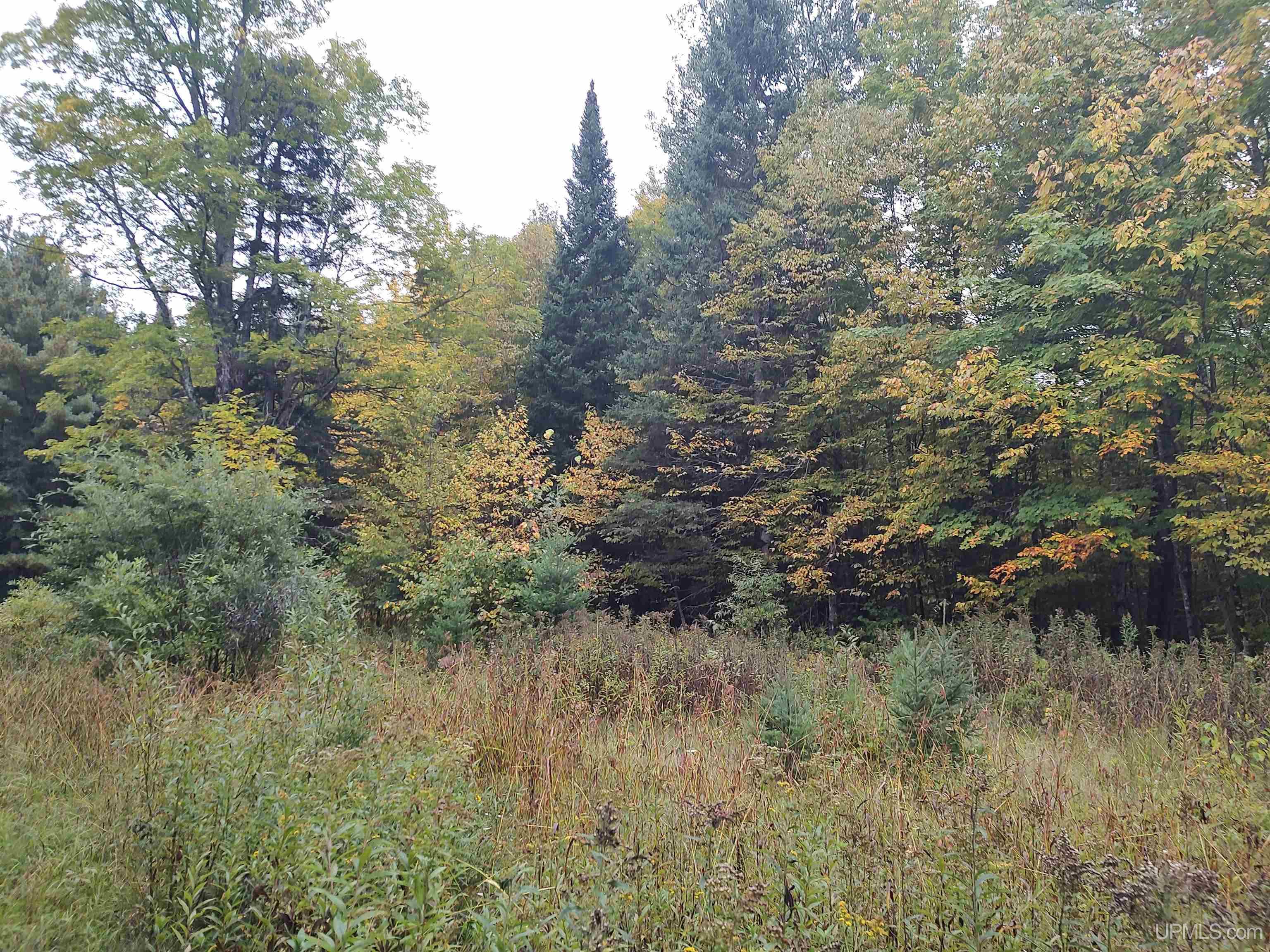 Tbd South Laird Road Pelkie, MI 49958 - Photo 5 of 25