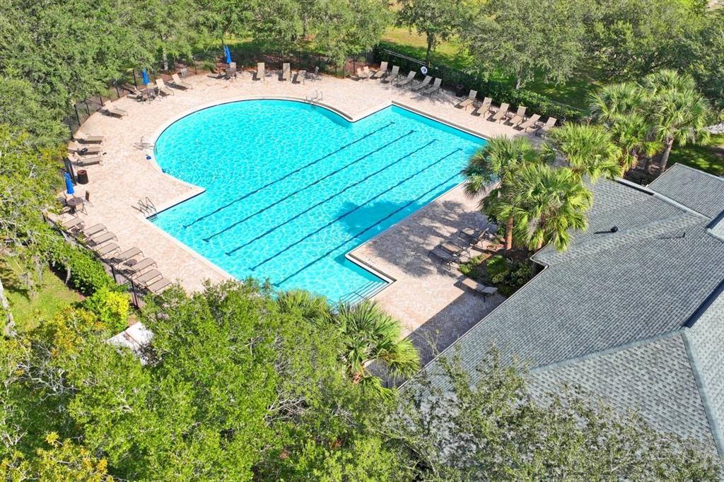 571 Old Windsor Way Spring Hill, FL 34609 - Photo 54 of 61