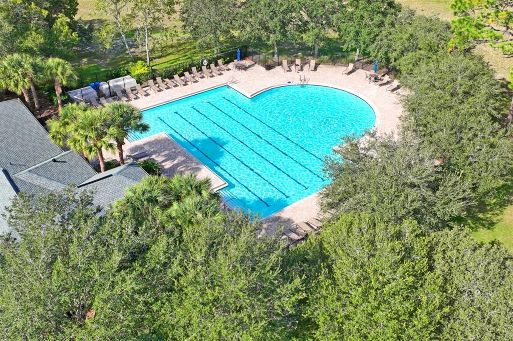 571 Old Windsor Way Spring Hill, FL 34609 - Photo 56 of 61